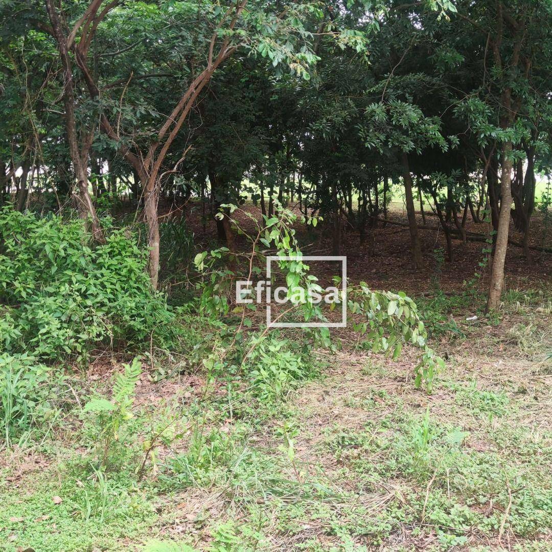 Fazenda à venda com 4 quartos, 900M2 - Foto 18