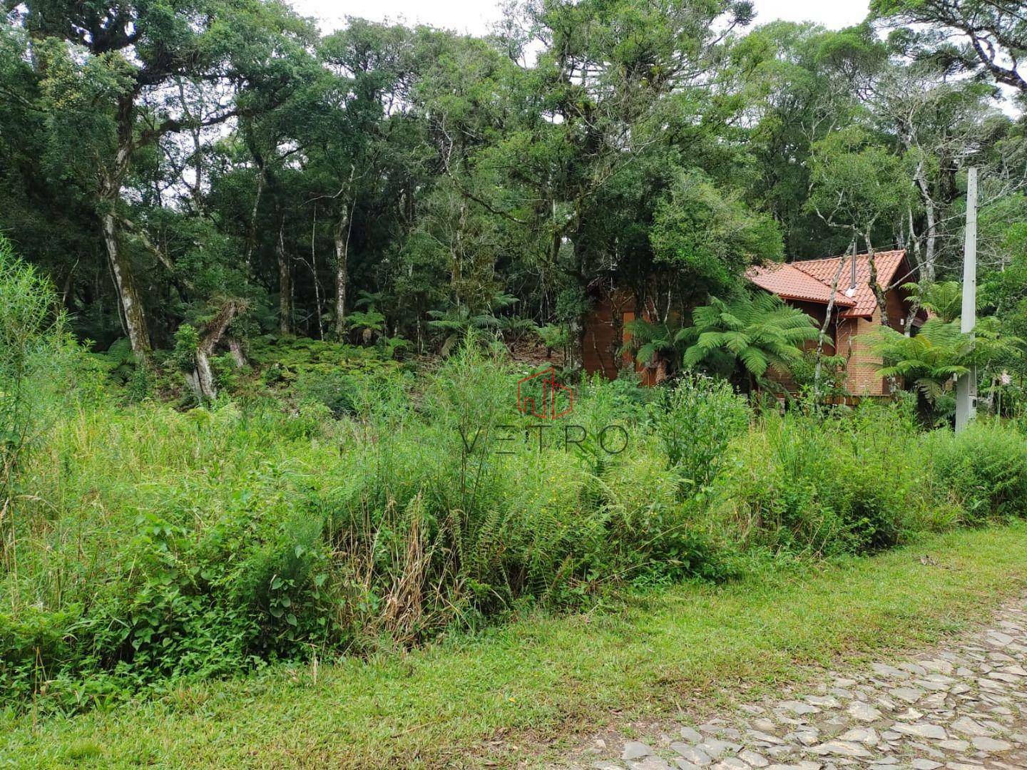 Loteamento e Condomínio à venda, 720M2 - Foto 2