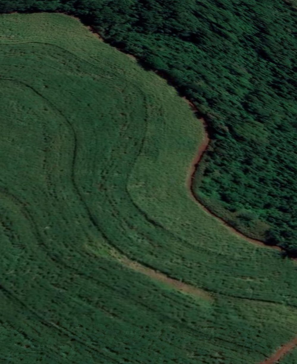 Sítio, 5 hectares - Foto 1