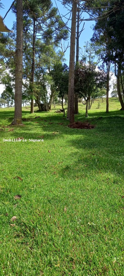 Terreno à venda - Foto 27