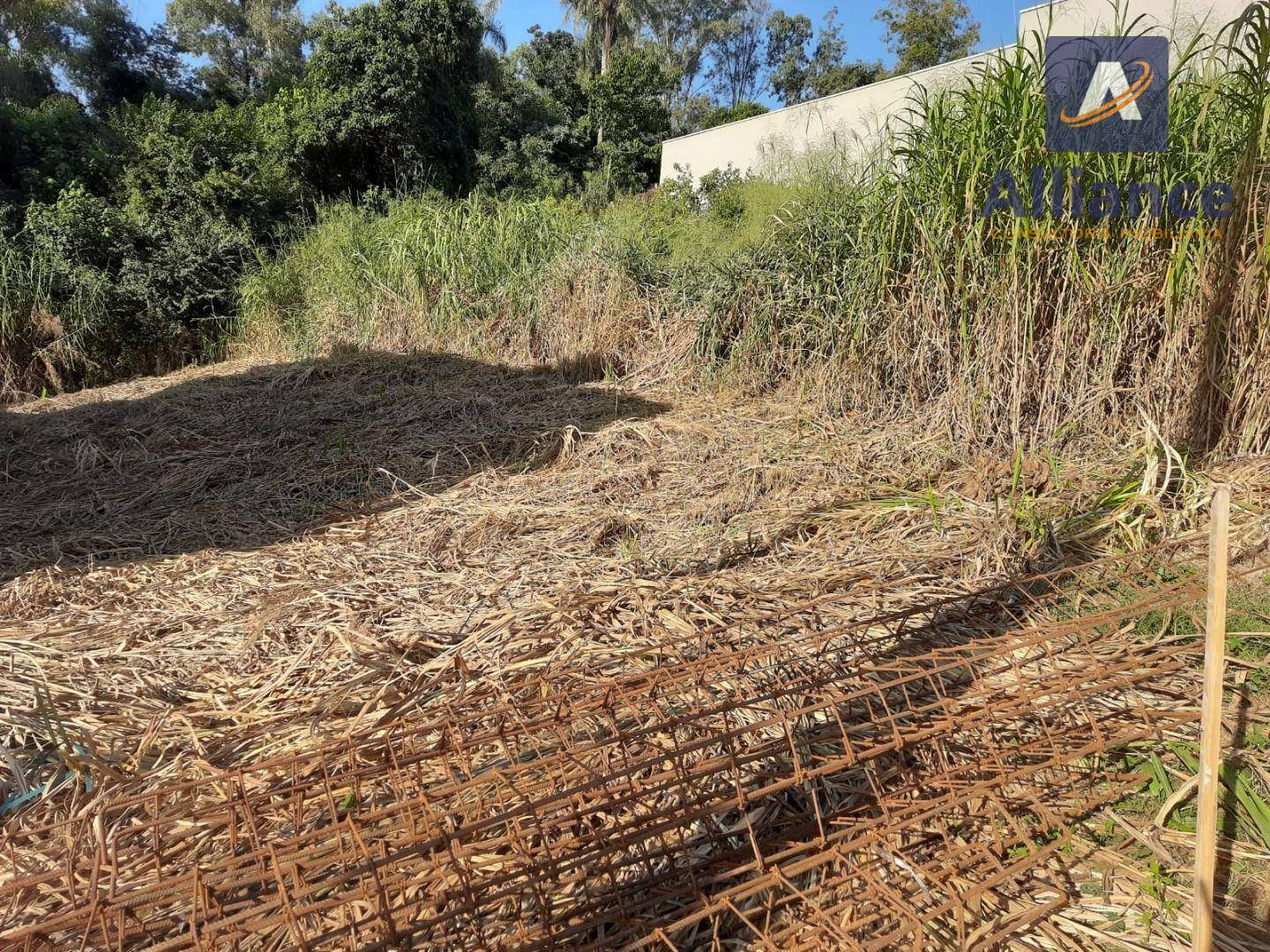 Terreno à venda, 300M2 - Foto 5