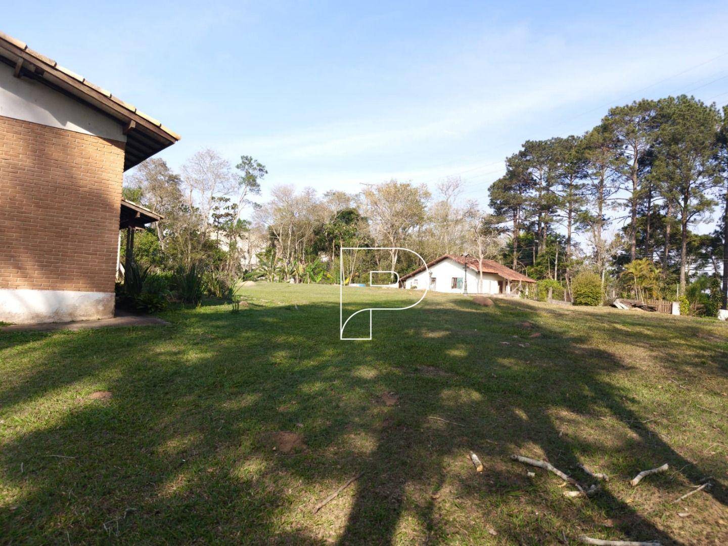 Terreno, 6 hectares - Foto 5