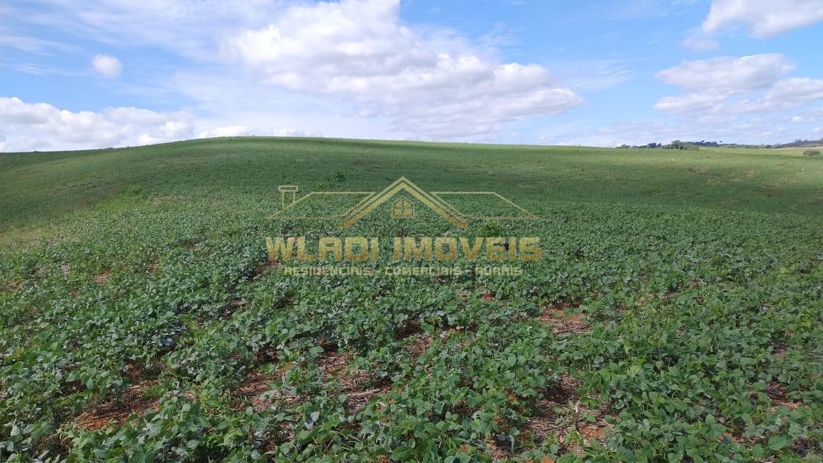 Fazenda à venda, 160m² - Foto 29