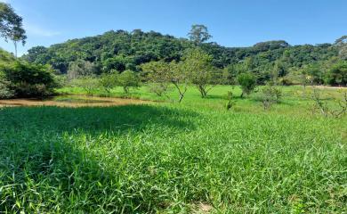 Fazenda à venda com 2 quartos, 47000m² - Foto 20