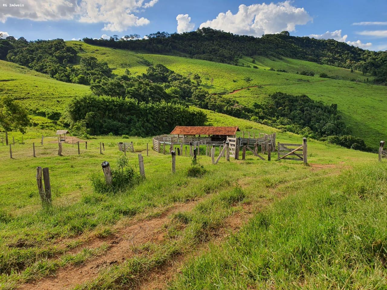 Fazenda à venda com 2 quartos, 220m² - Foto 9