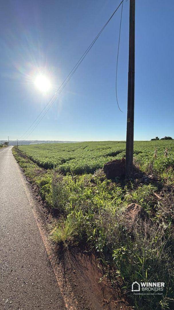 Sítio, 27 hectares - Foto 1