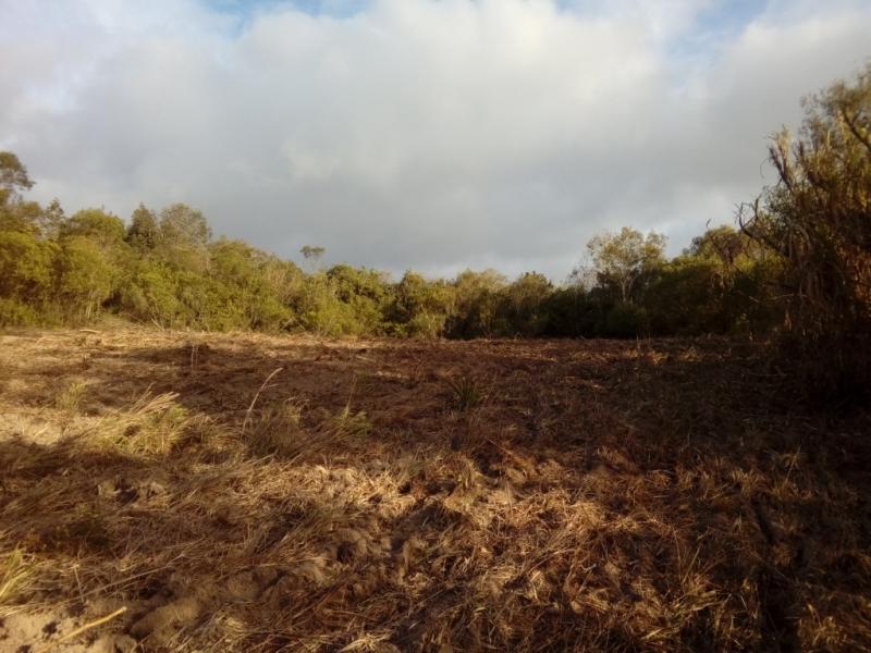 Sítio à venda com 1 quarto, 30000m² - Foto 16