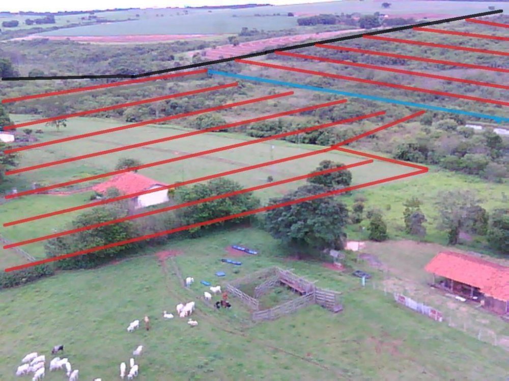 Sítio, 41 hectares - Foto 3