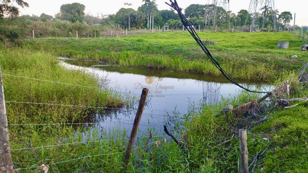 Fazenda à venda com 2 quartos, 90000m² - Foto 4