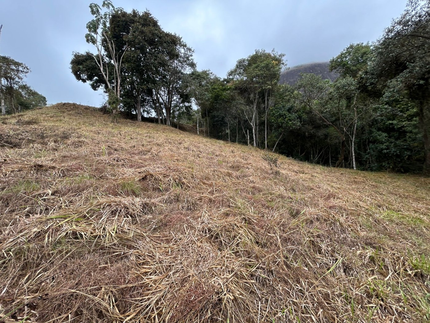 Terreno à venda, 178000m² - Foto 14