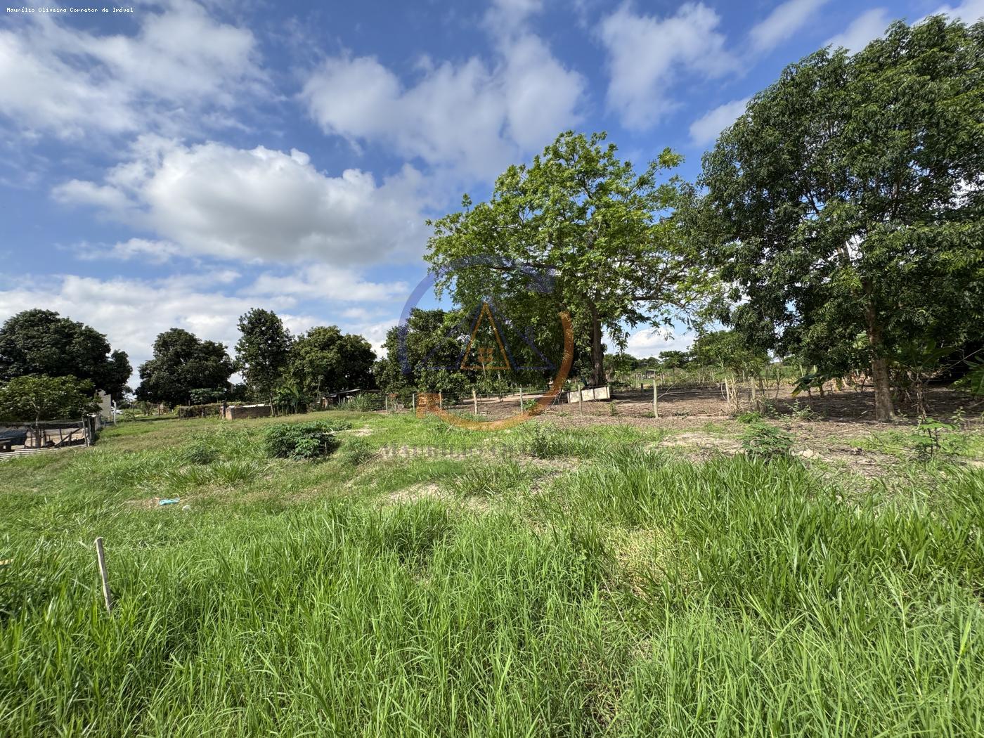 Fazenda à venda com 2 quartos, 1968m² - Foto 7