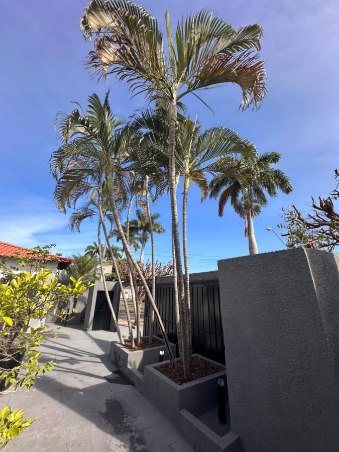 Casa à venda com 2 quartos, 176m² - Foto 27