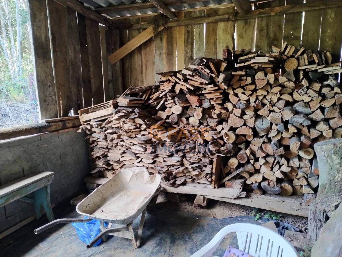 Sítio, 2 hectares - Foto 4