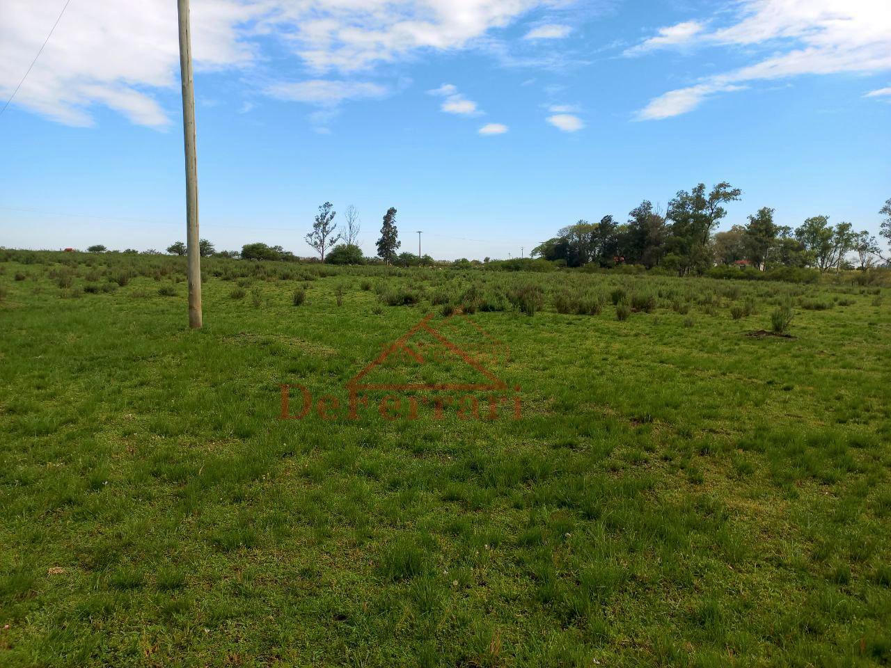 Fazenda-Sítio-Chácara, 5 quartos - Foto 5