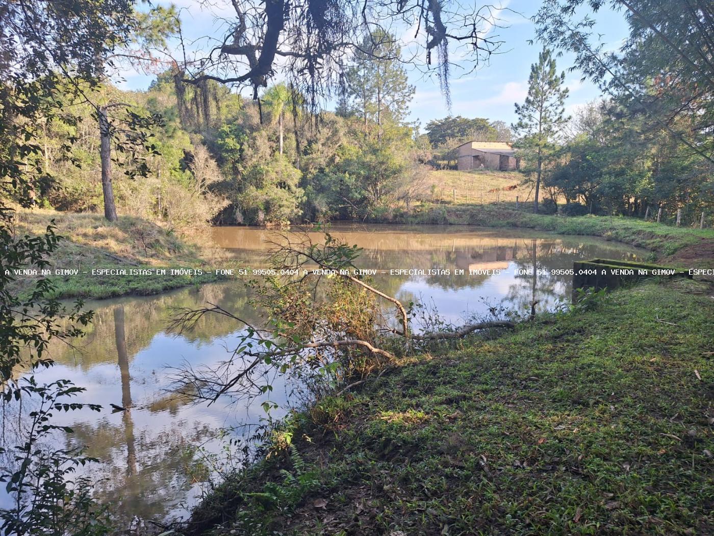 Fazenda à venda com 4 quartos, 80000m² - Foto 28