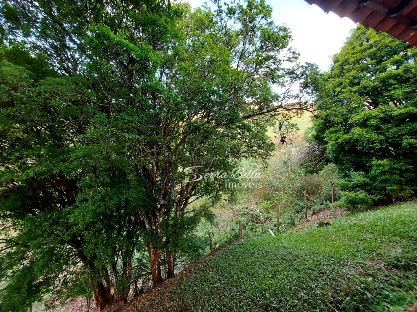 Fazenda à venda com 3 quartos, 580800M2 - Foto 18