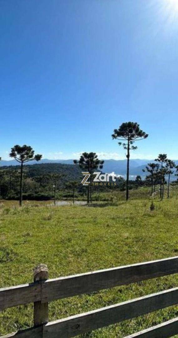 Terreno, 2 hectares - Foto 1