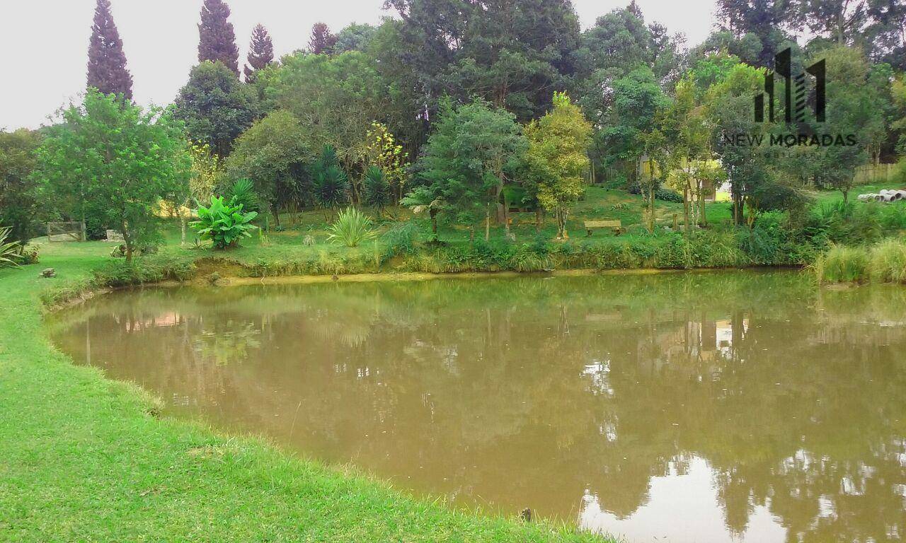 Chácara, 3 hectares - Foto 1