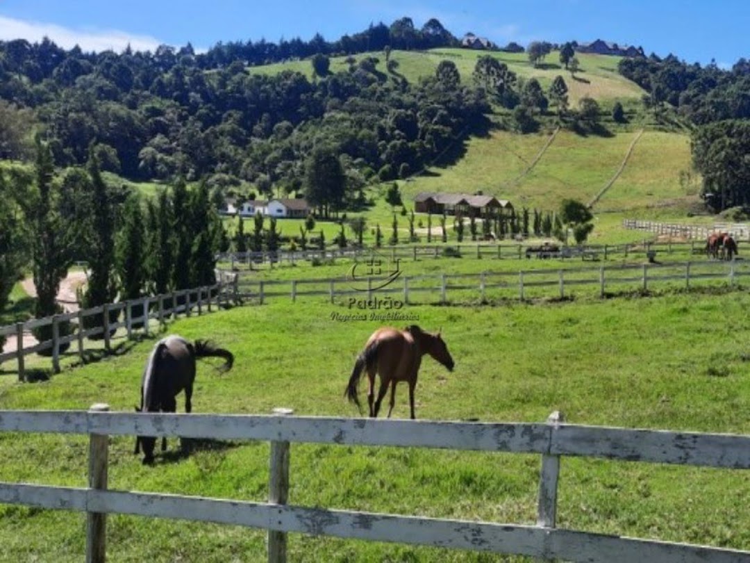 Fazenda à venda com 6 quartos, 1000m² - Foto 6