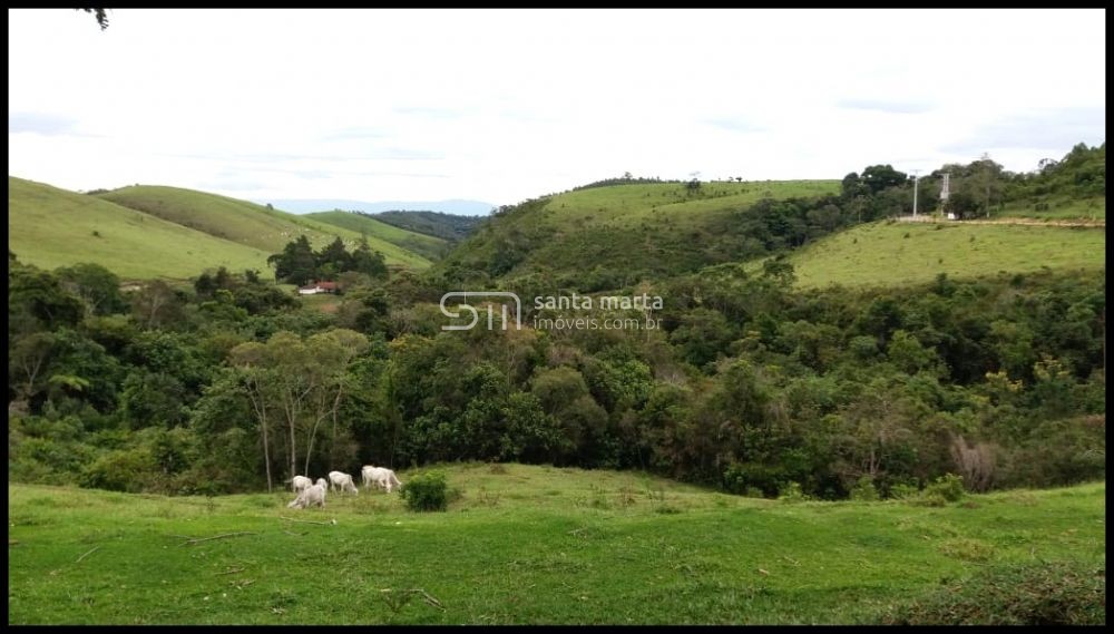 Fazenda-Sítio-Chácara, 157 hectares - Foto 4