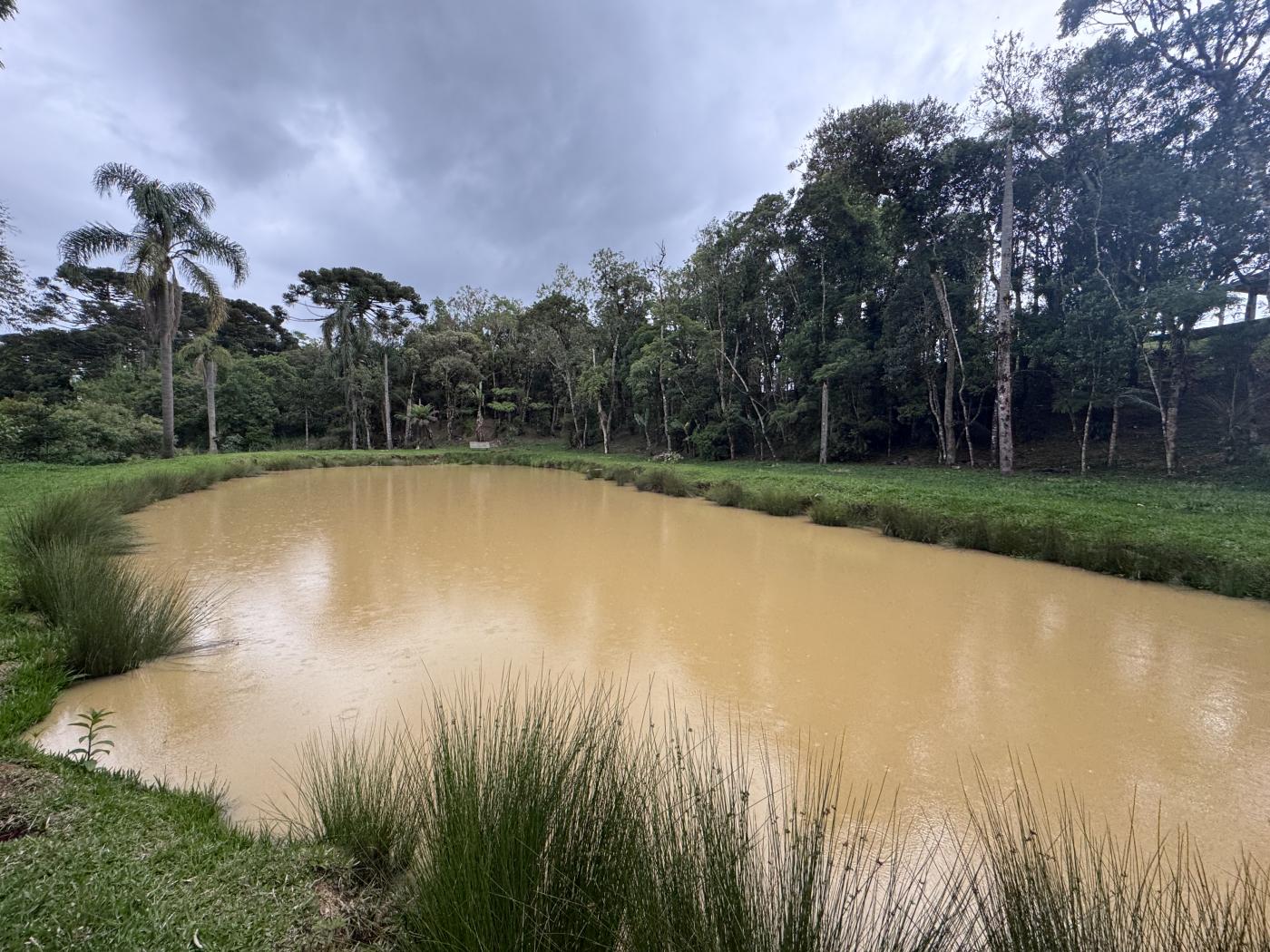 Chácara à venda com 4 quartos, 15000m² - Foto 56