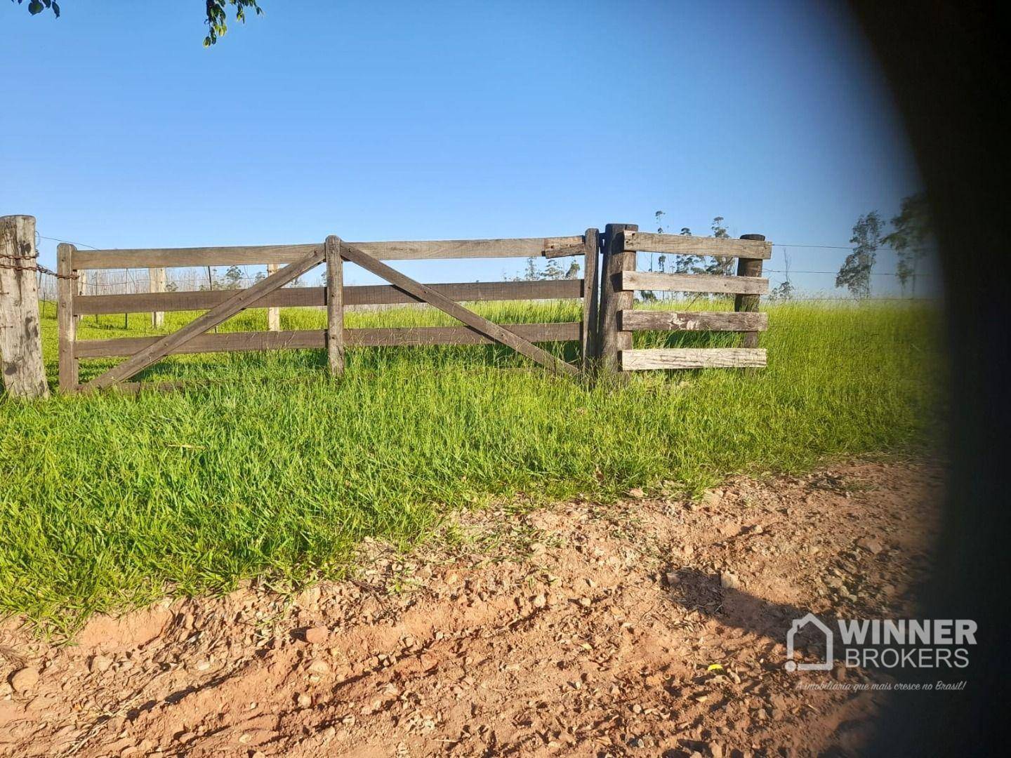 Chácara, 7 hectares - Foto 5