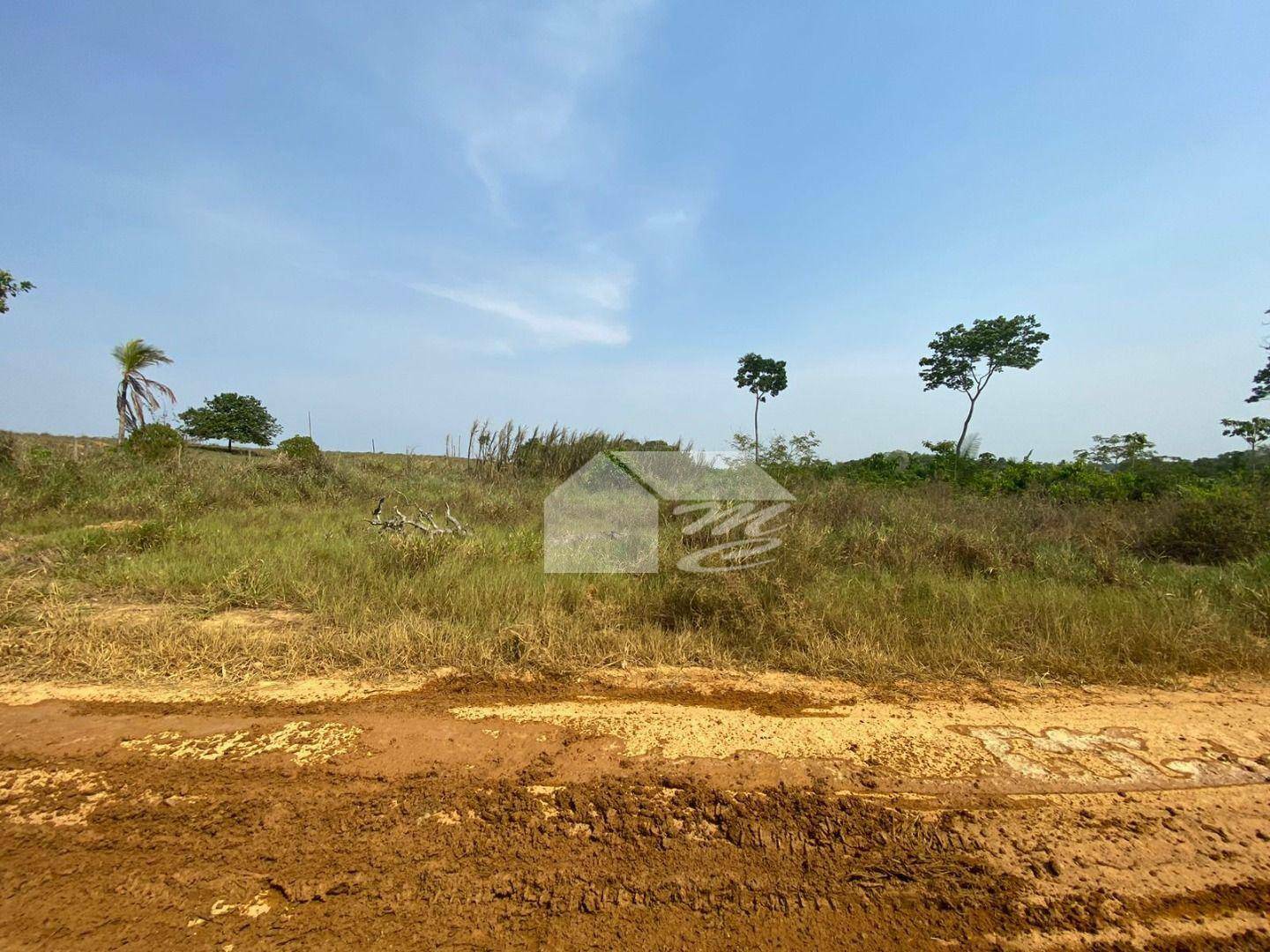 Chácara à venda com 1 quarto, 97283M2 - Foto 9