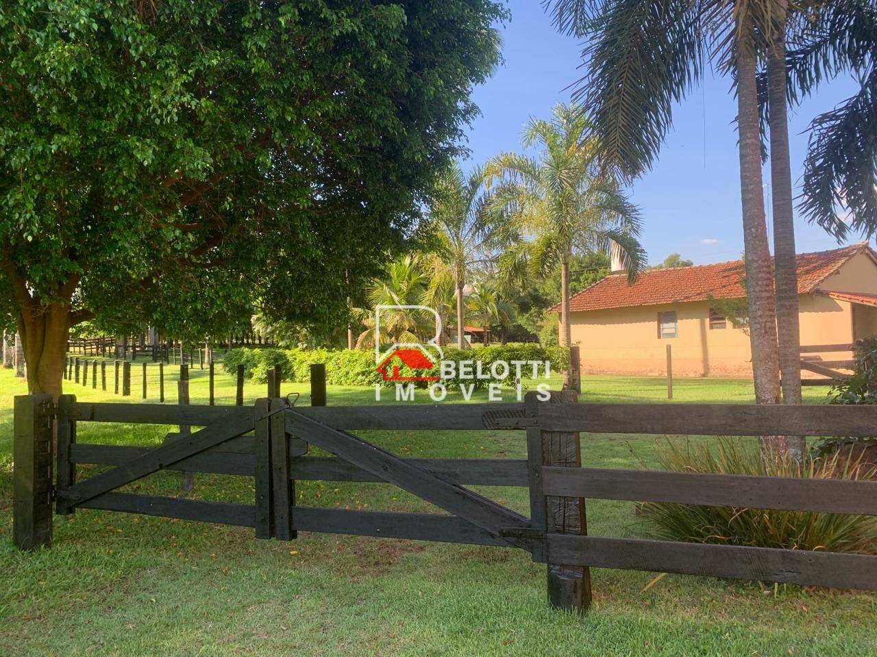 Fazenda à venda com 2 quartos, 31460M2 - Foto 8