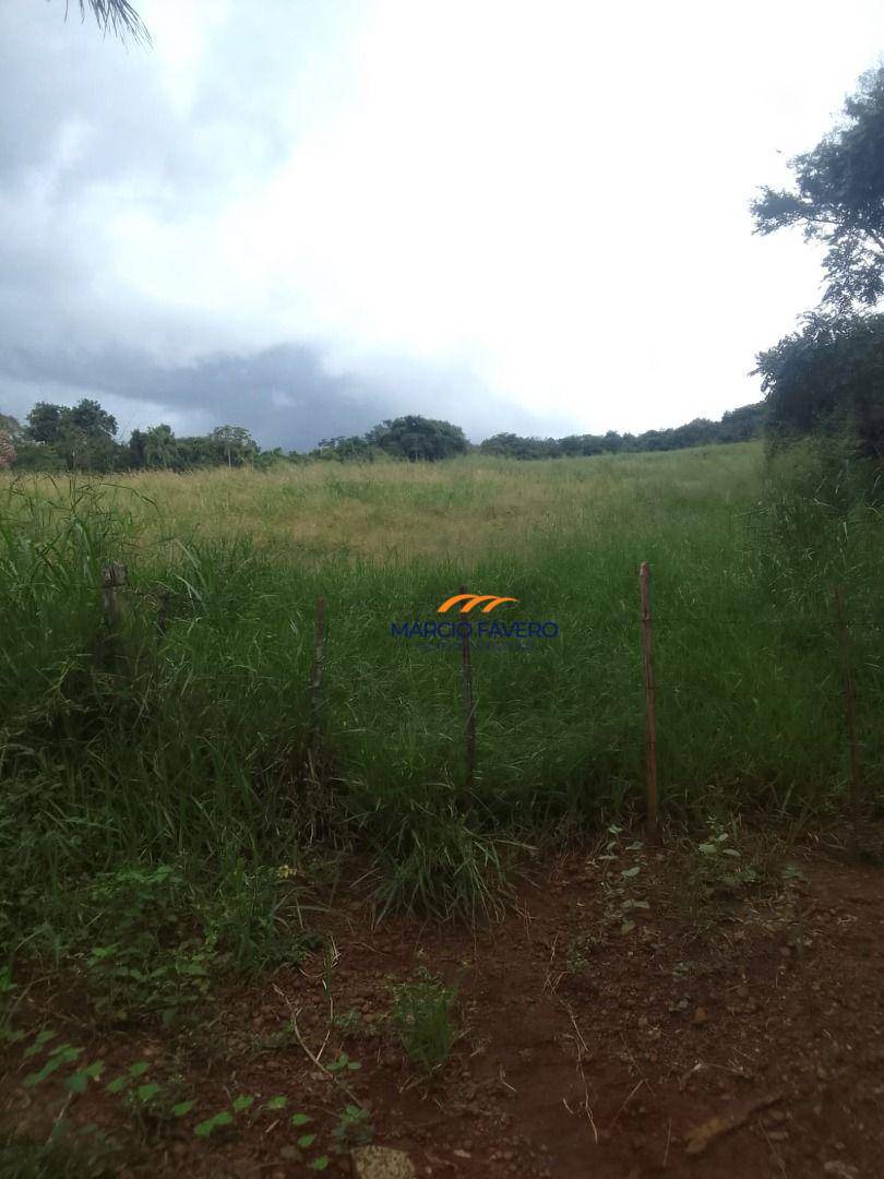 Fazenda, 102 hectares - Foto 12