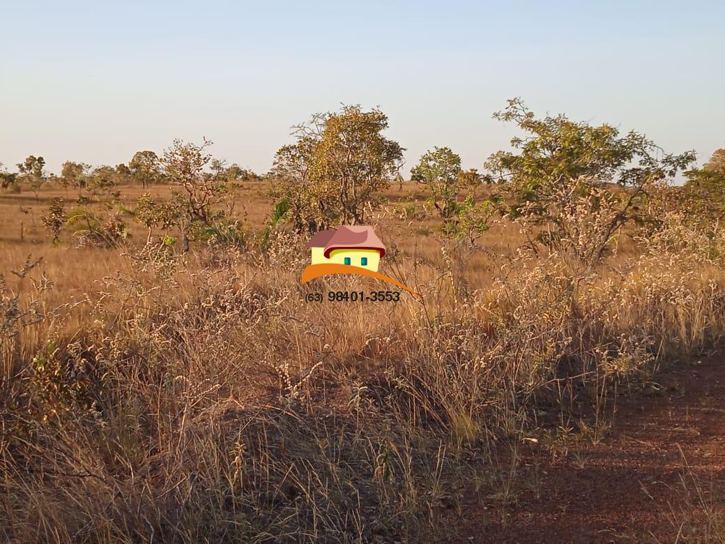 Fazenda à venda, 1m² - Foto 14