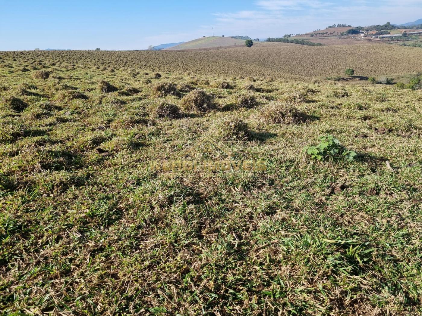 Fazenda à venda, 84m² - Foto 3