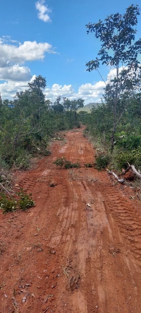 Fazenda à venda com 1 quarto, 17800000M2 - Foto 16