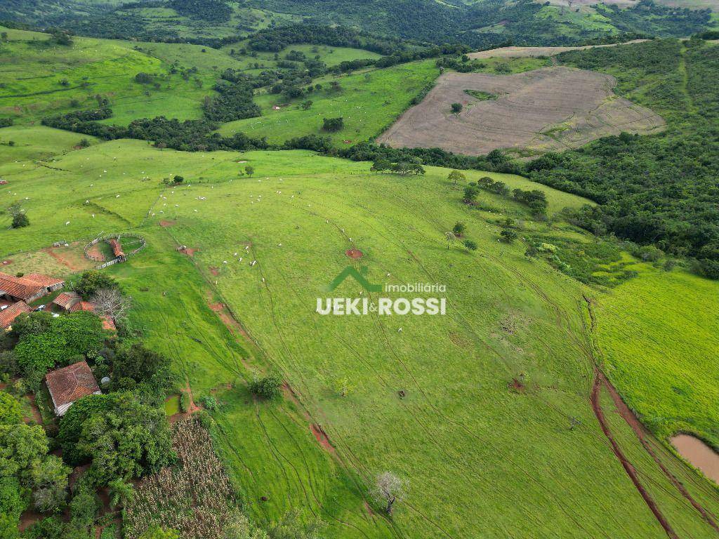 Fazenda-Sítio-Chácara, 242 hectares - Foto 2