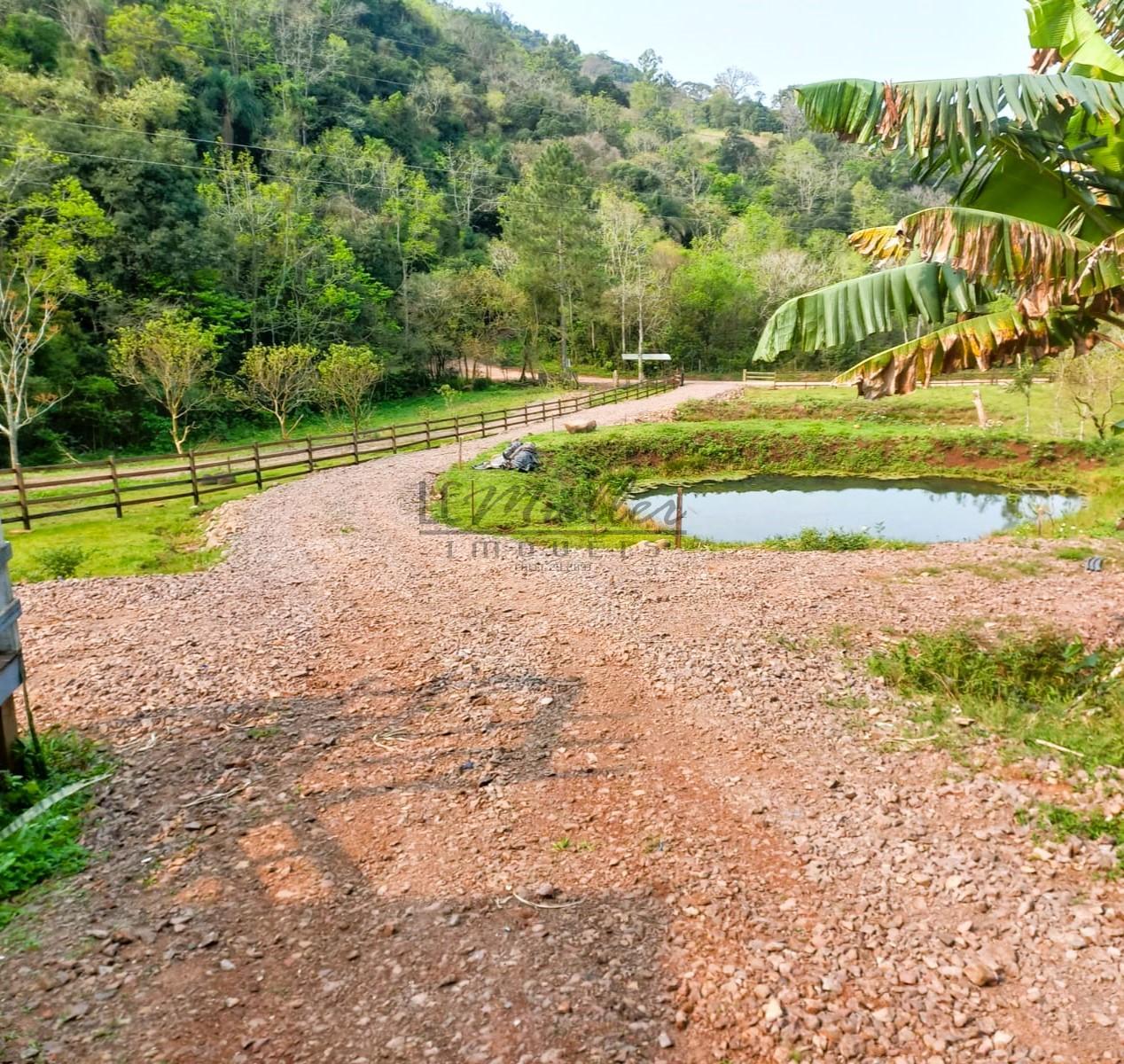 Fazenda à venda - Foto 11