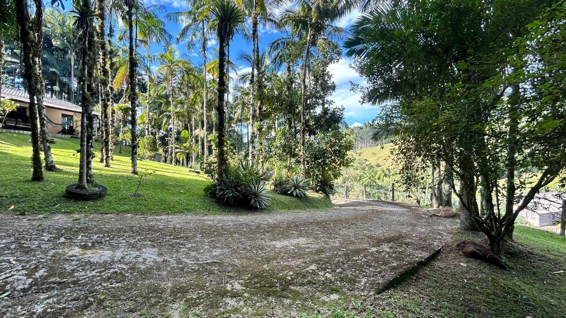 Sítio, 3 hectares - Foto 56