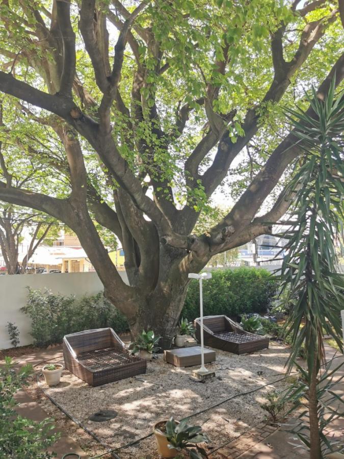 Apartamento à venda com 3 quartos, 120m² - Foto 25