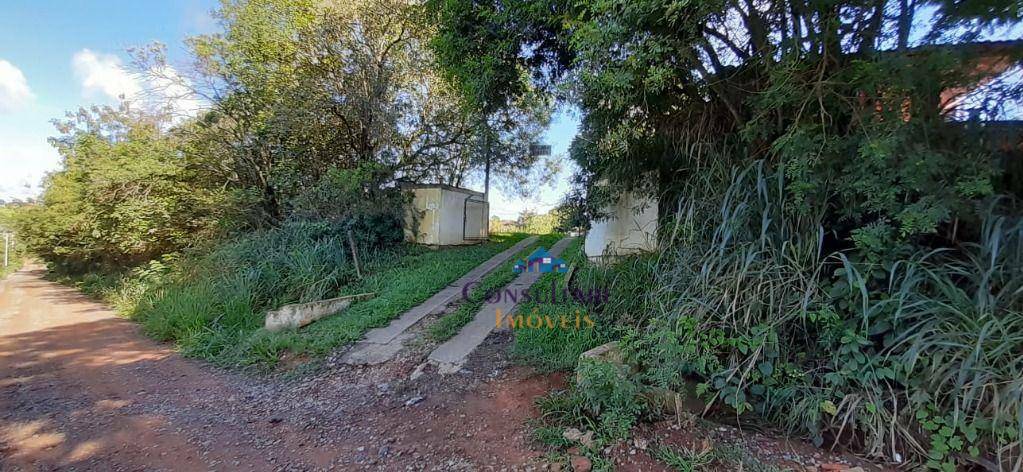 Sítio à venda com 5 quartos, 150m² - Foto 16