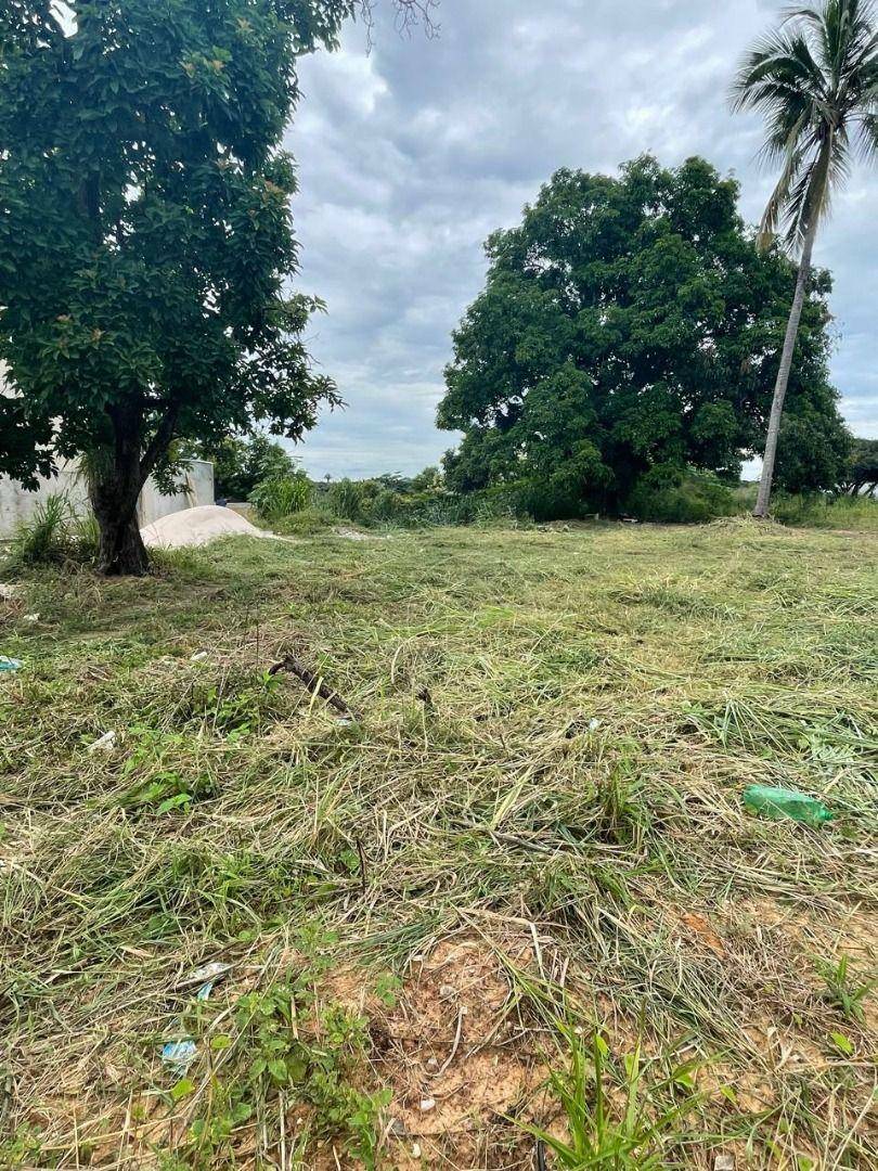 Terreno à venda, 288M2 - Foto 2
