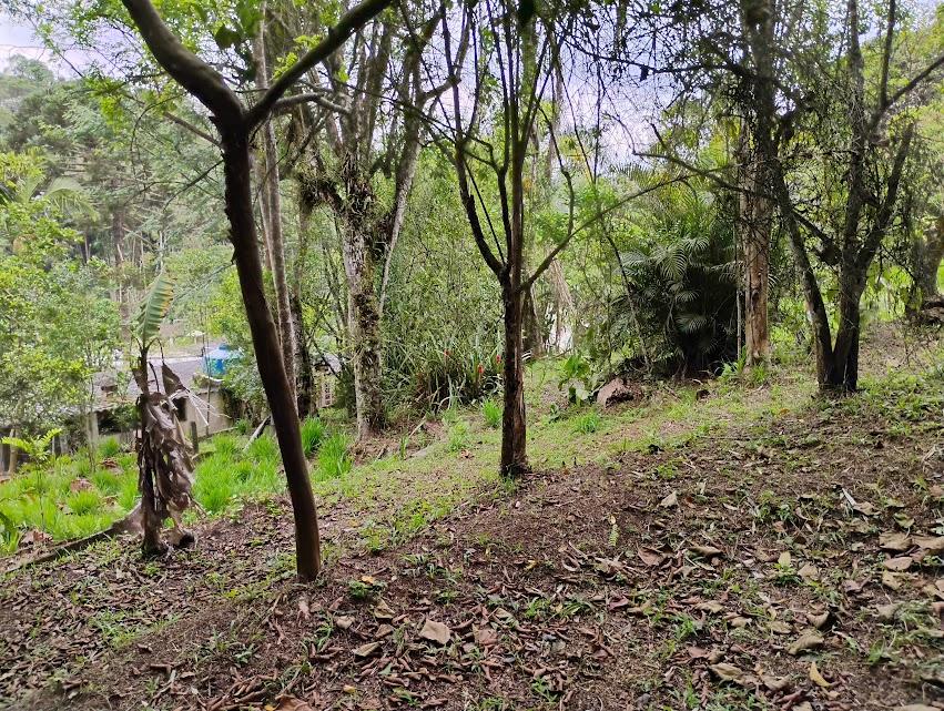 Fazenda à venda com 2 quartos, 2300m² - Foto 22