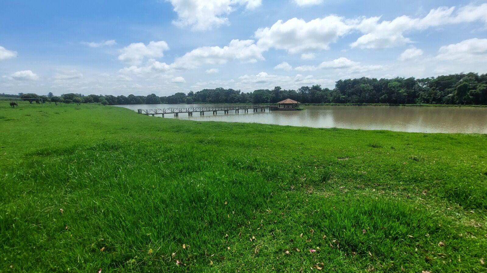 Fazenda à venda com 2 quartos, 919600m² - Foto 8