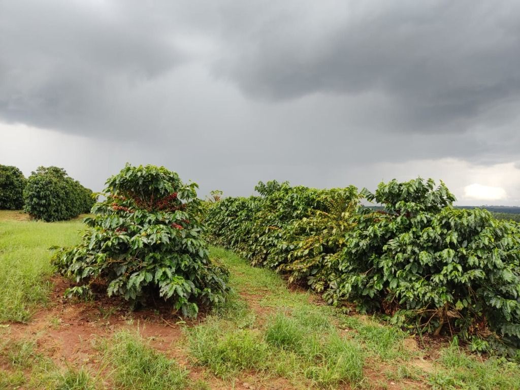 Fazenda à venda com 2 quartos, 3388000m² - Foto 5