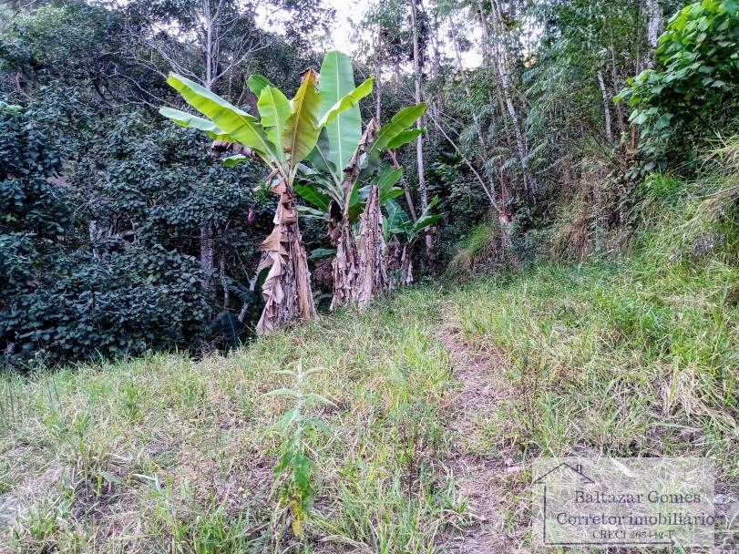 Fazenda à venda com 3 quartos, 20000m² - Foto 3