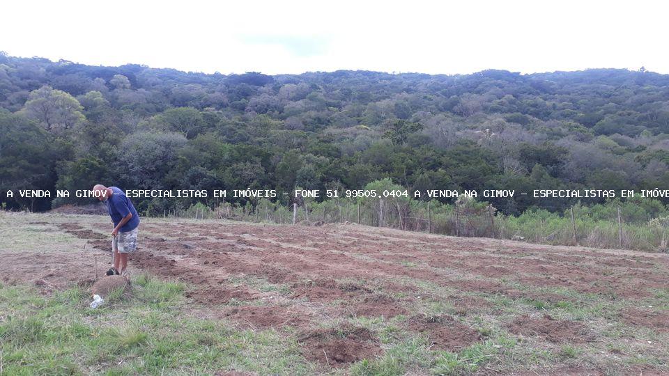 Fazenda à venda, 10000m² - Foto 11