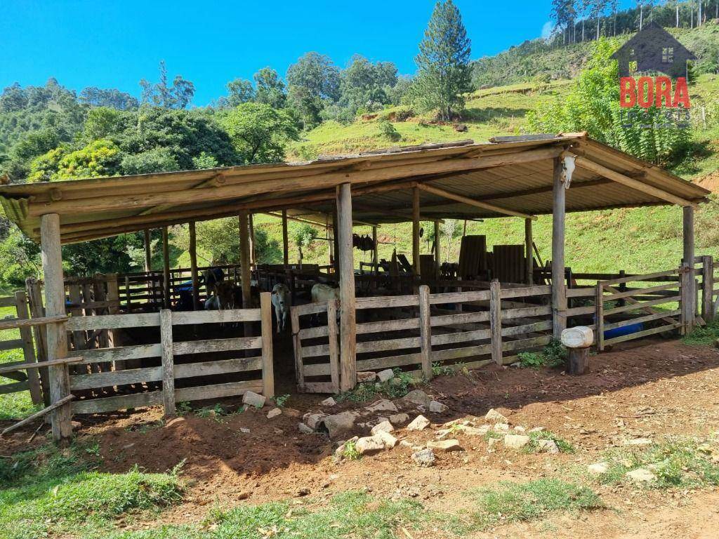 Fazenda à venda com 2 quartos, 1113200M2 - Foto 11