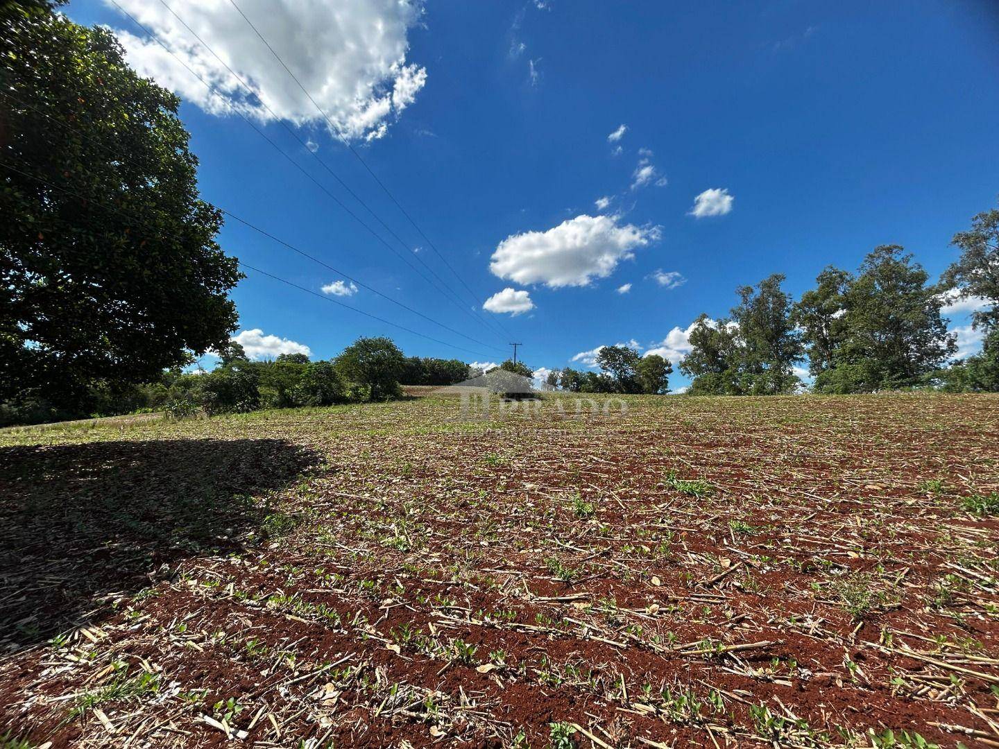 Sítio, 4 quartos, 7 hectares - Foto 4