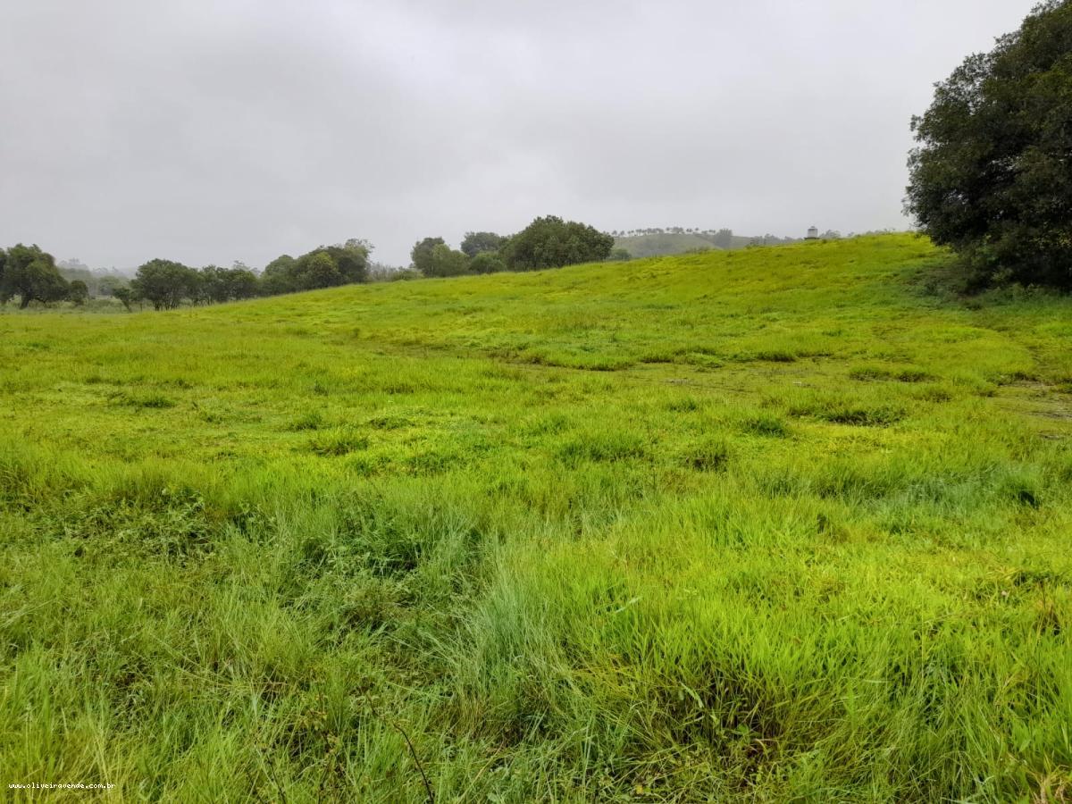 Fazenda à venda com 2 quartos, 61000m² - Foto 4