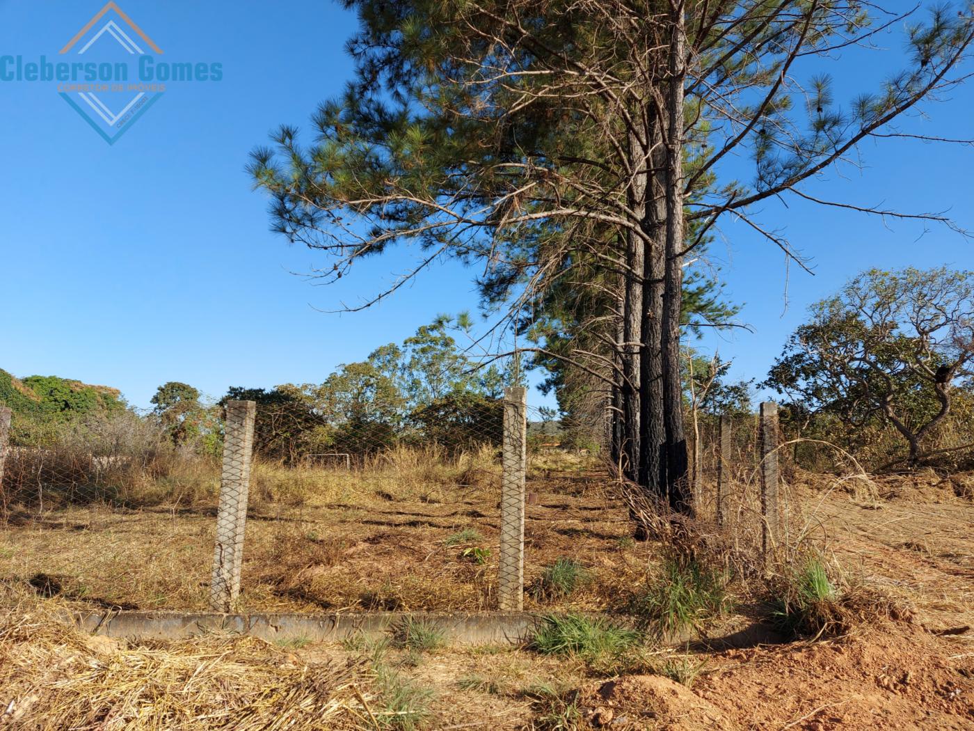 Fazenda à venda, 4000m² - Foto 5