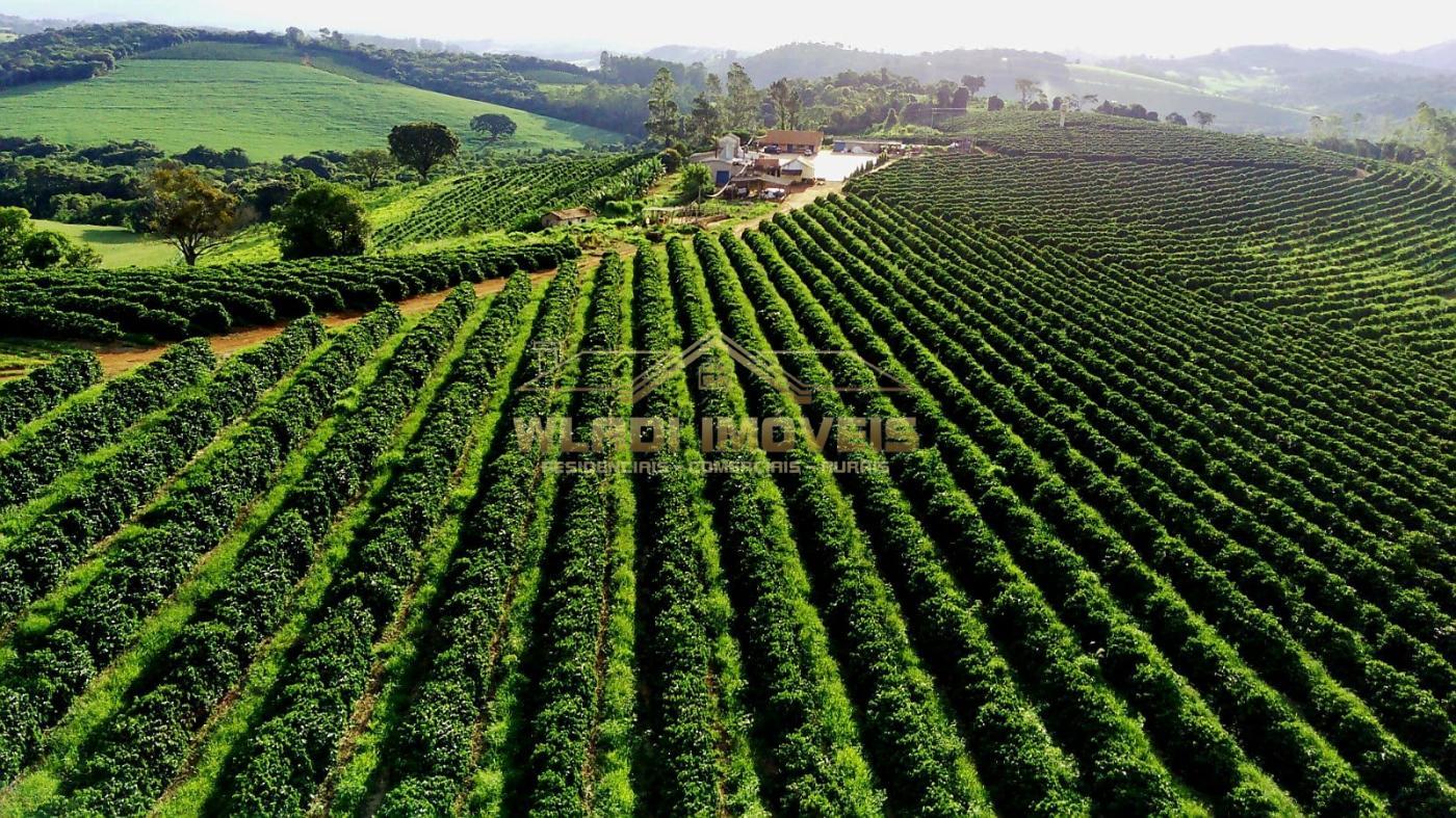 Fazenda à venda, 40m² - Foto 3