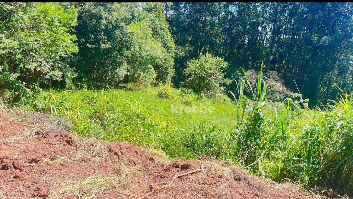 Terreno, 3247 m² - Foto 4