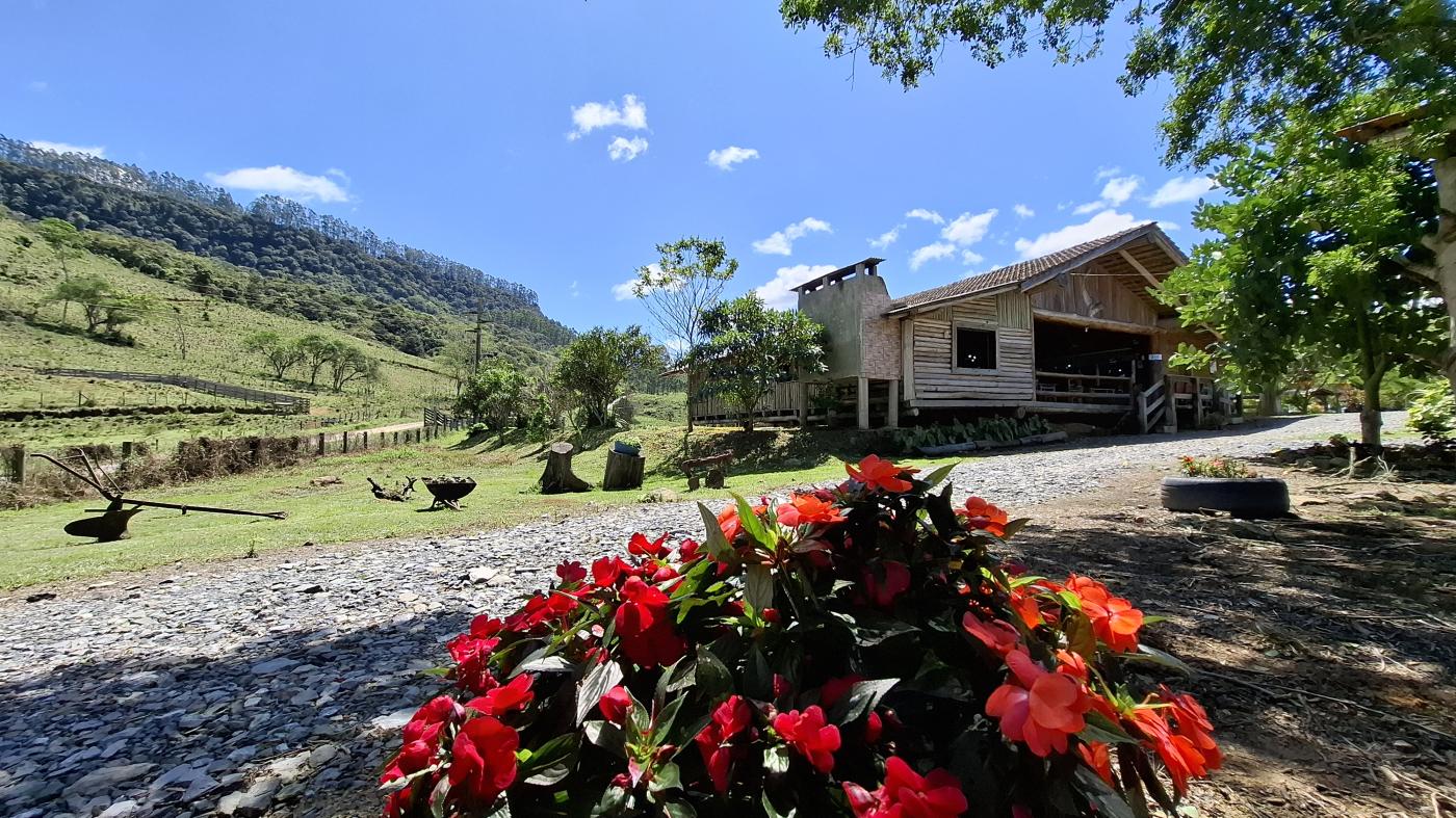 Fazenda à venda com 4 quartos, 1040000m² - Foto 42